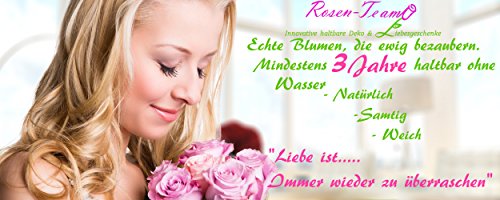 TIK/0104Tiki - Tree Fern preserved Green 40-50 cm